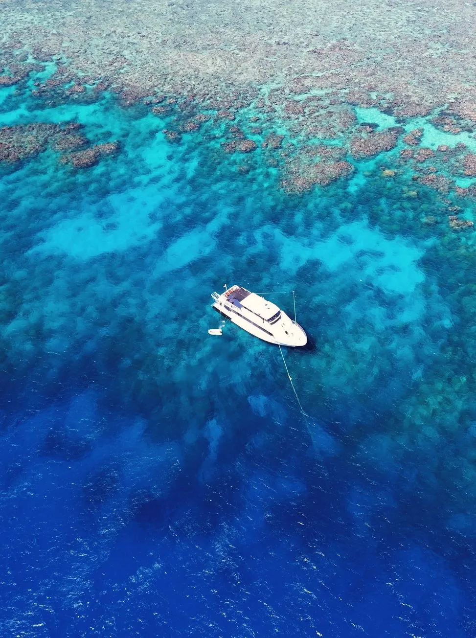Why You Won’t Find Real Surf Here